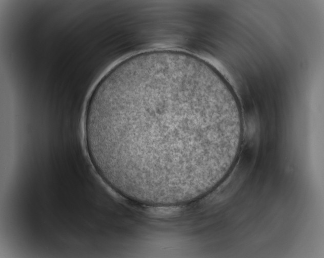 X0000092001294200710041001