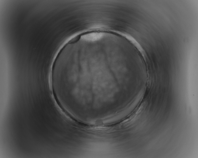 X0000092001295200710041001