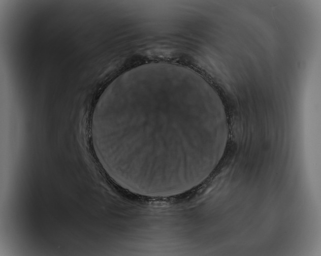 X0000092001297200710041000