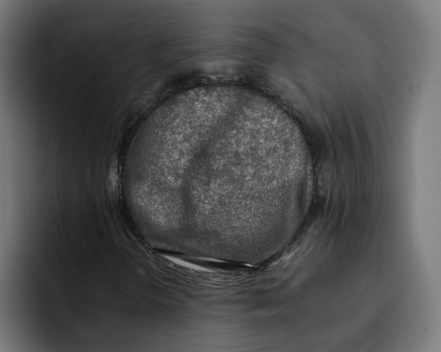 X0000092001298200710041000