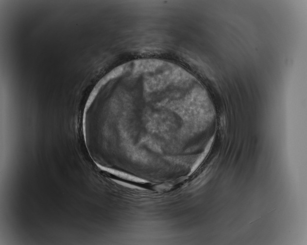 X0000092001300200710041000