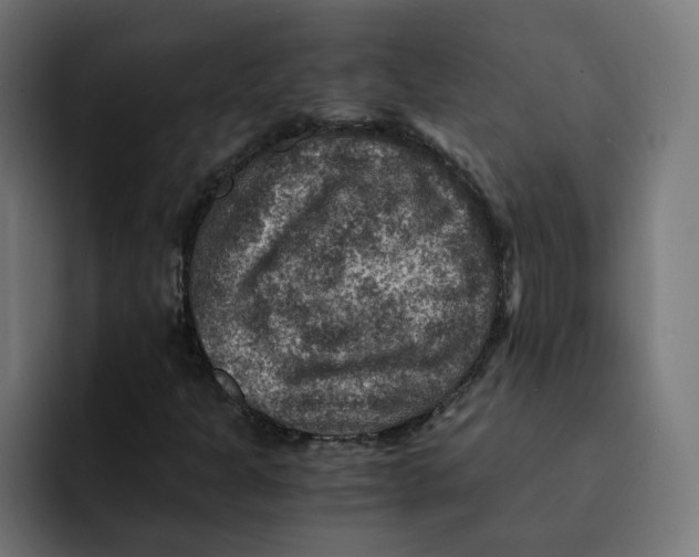 X0000092001301200710041000