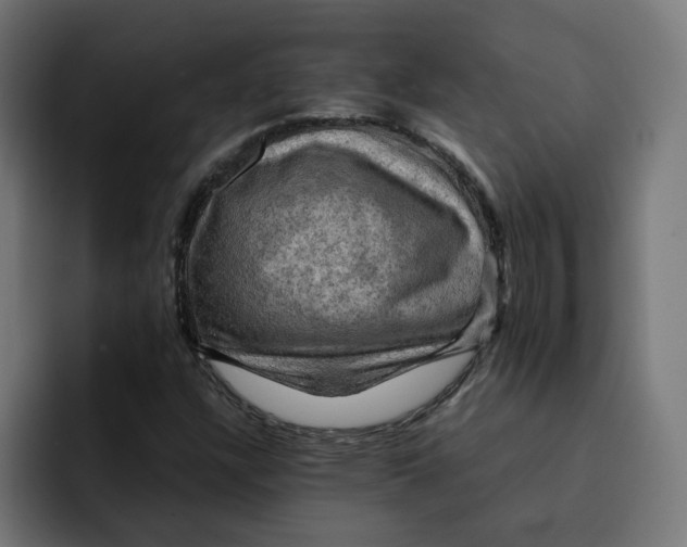 X0000092001304200710041000