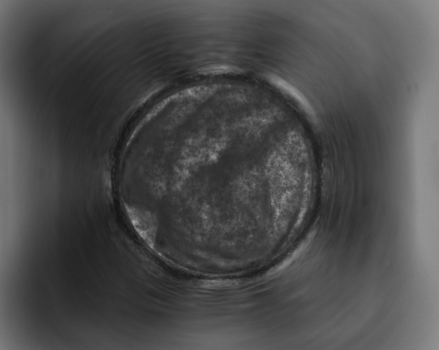 X0000092001305200710041000