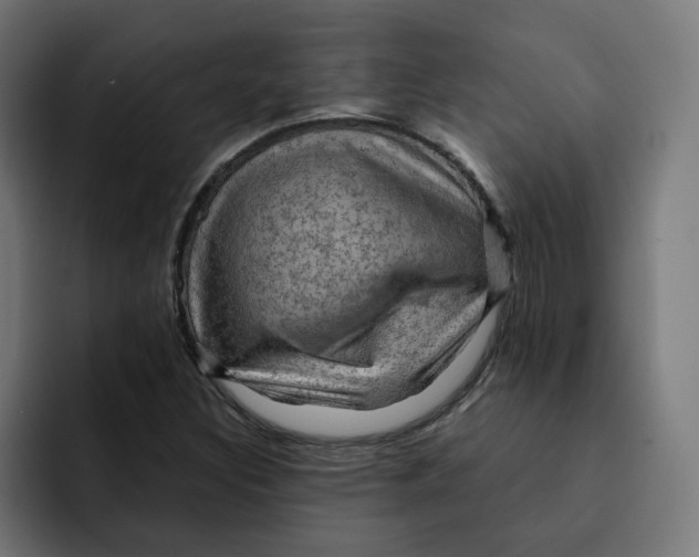 X0000092001308200710041000