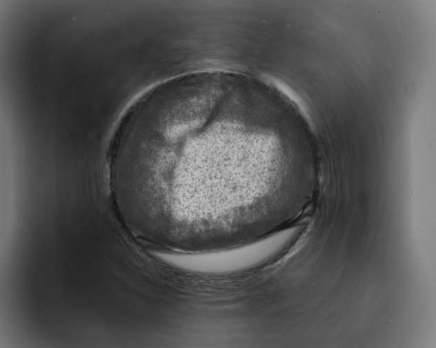 X0000092001310200710041000