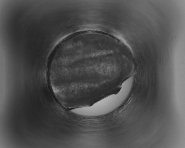 X0000092001312200710041000