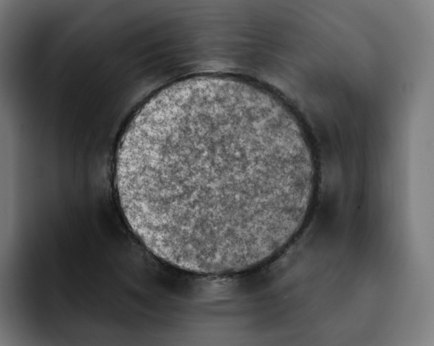 X0000092001314200710041000