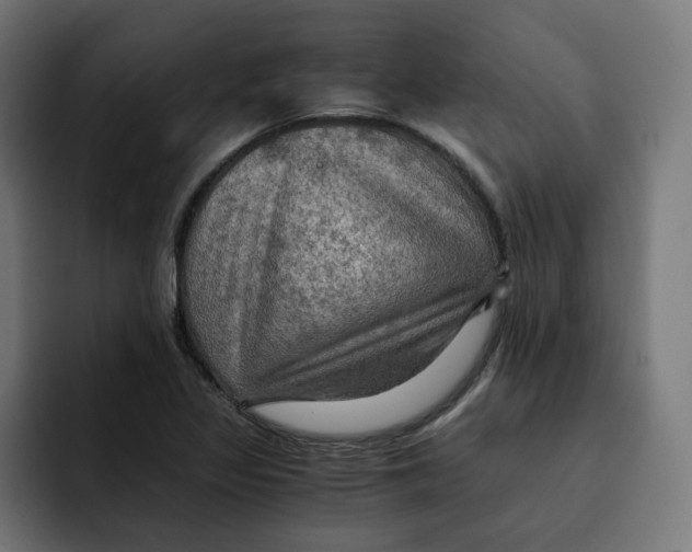 X0000092001317200710041000