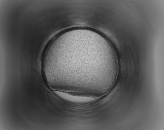 X0000092001318200710041000