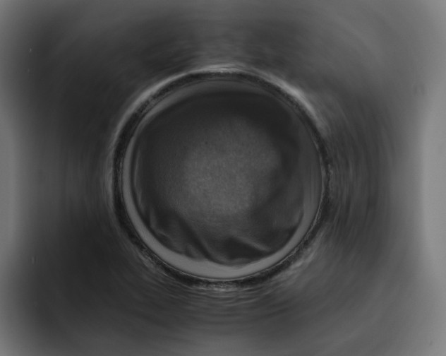 X0000092001319200710041000