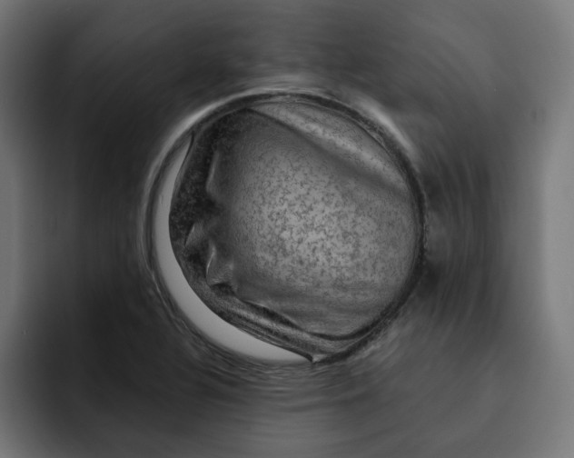 X0000092001320200710041000