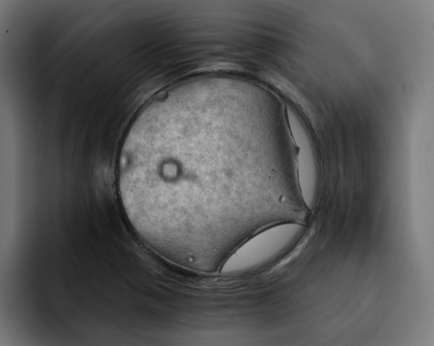 X0000092001321200710041000