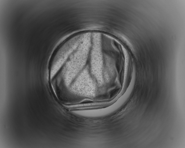 X0000092001324200710041000