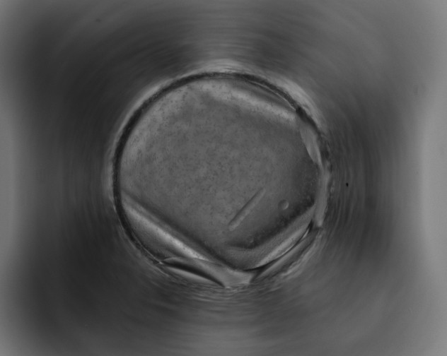 X0000092001326200710041000