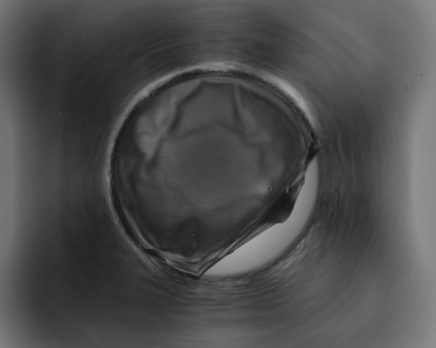 X0000092001327200710041000