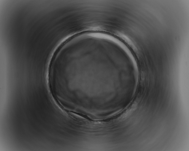 X0000092001331200710041000