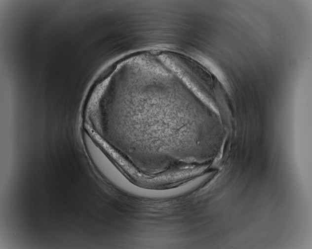 X0000092001332200710041001