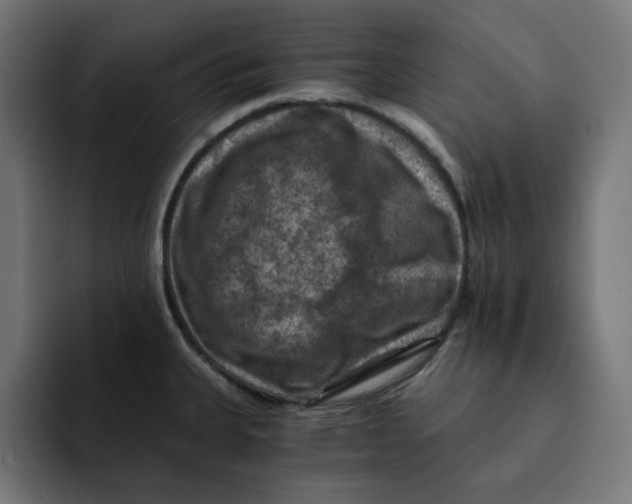 X0000092001335200710041001