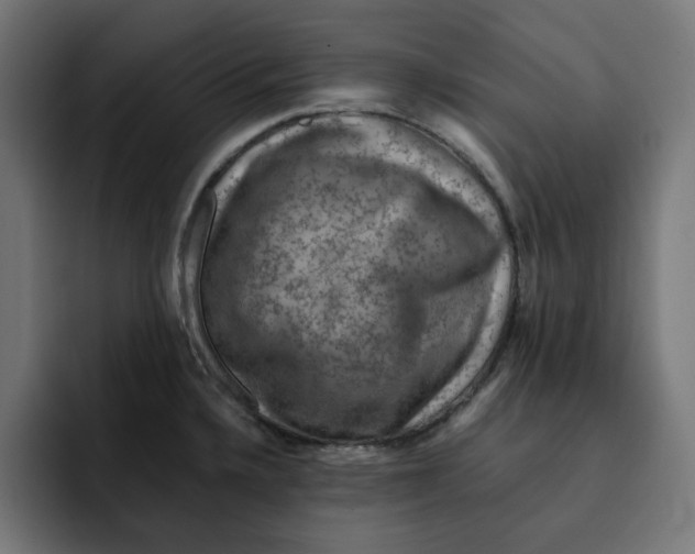 X0000092001336200710041001