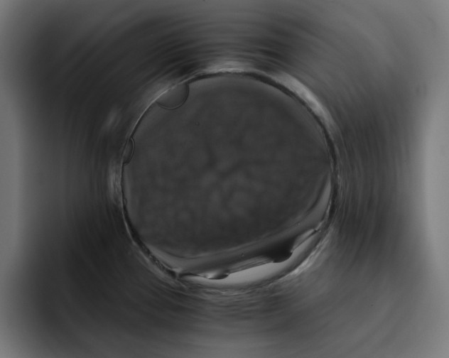 X0000092001337200710041001