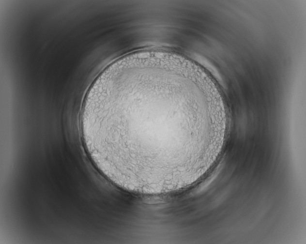 X0000092001338200710041001