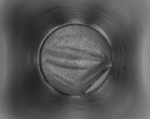 X0000092001339200710041001