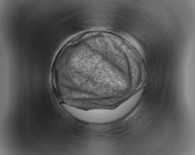 X0000092001340200710041001