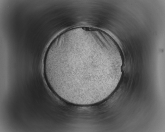 X0000092001341200710041001