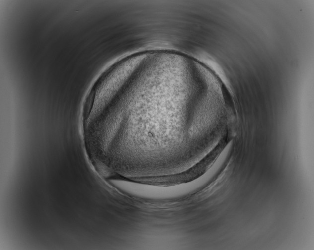 X0000092001342200710041001