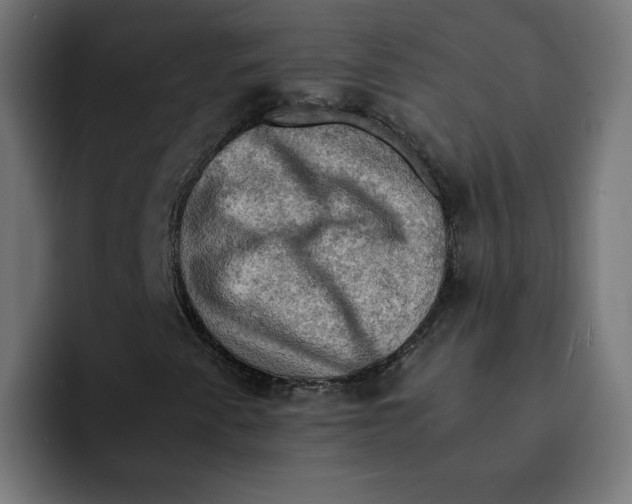 X0000092001345200710041000