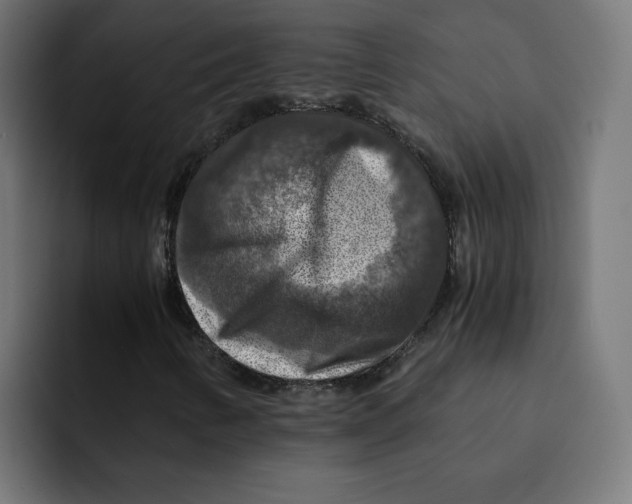 X0000092001346200710041000