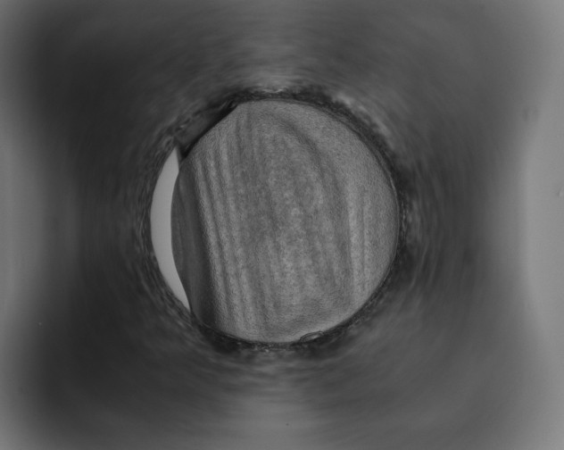 X0000092001349200710041000