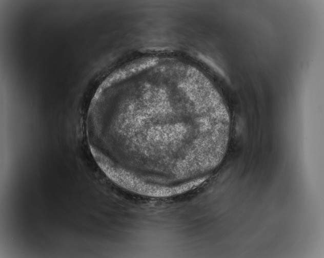 X0000092001350200710041000