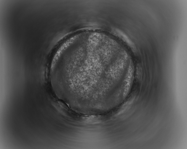 X0000092001352200710041000