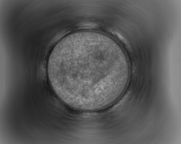 X0000092001354200710041000