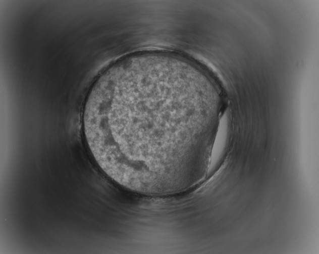 X0000092001355200710041000