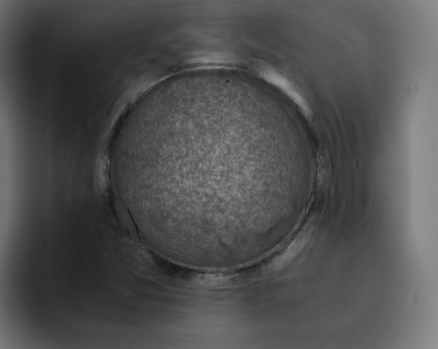 X0000092001357200710041000