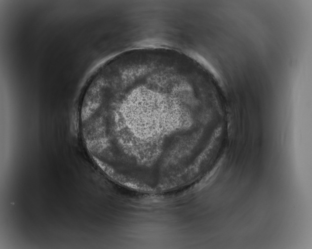 X0000092001358200710041000