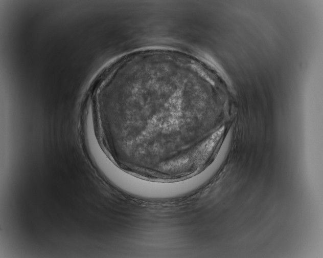 X0000092001360200710041000