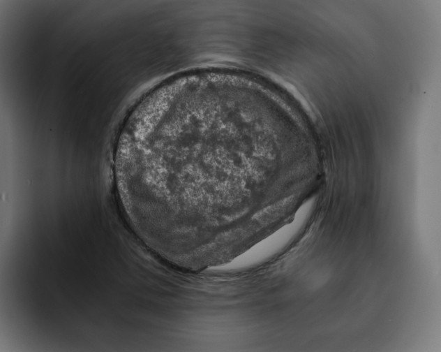 X0000092001363200710041000