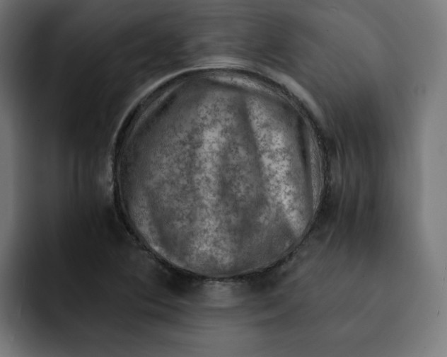 X0000092001364200710041000