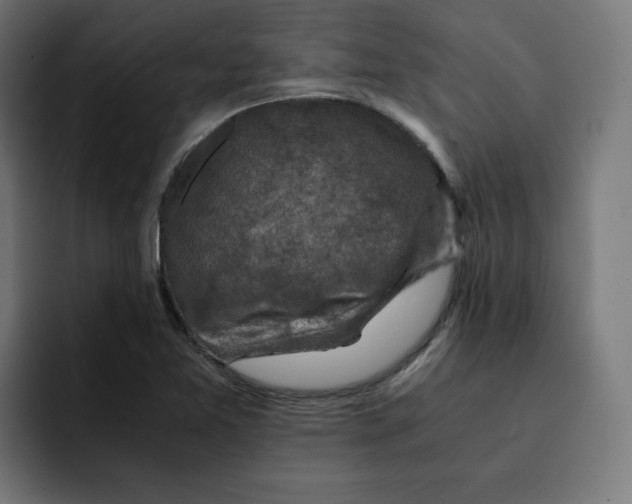 X0000092001365200710041000