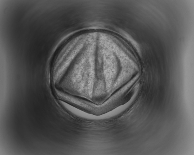 X0000092001368200710041000