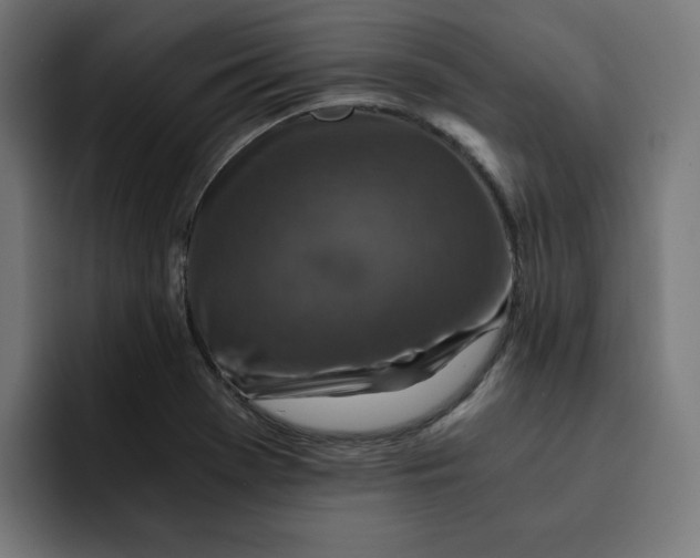 X0000092001369200710041000