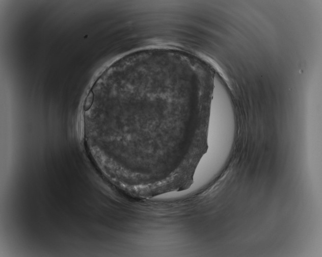 X0000092001371200710041000