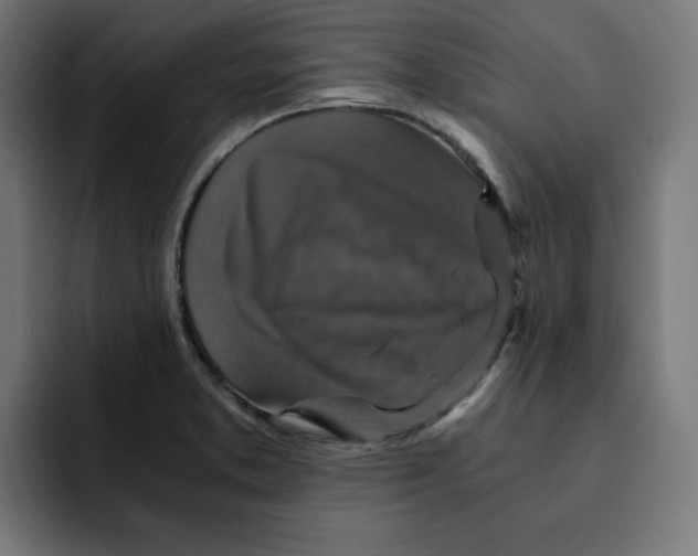 X0000092001373200710041000