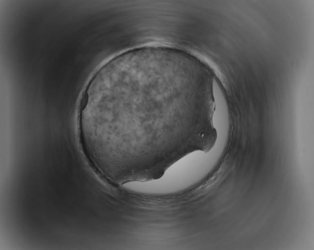 X0000092001375200710041000