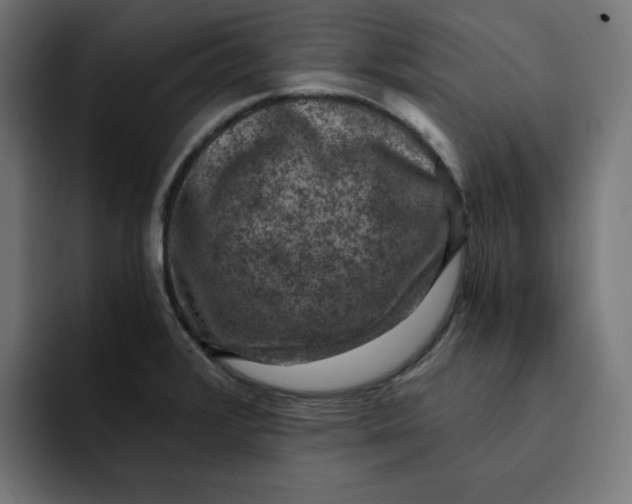 X0000092001376200710041000