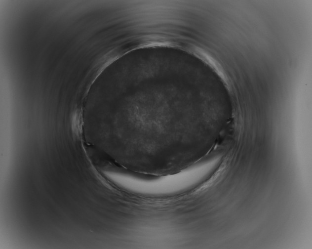 X0000092001377200710041000